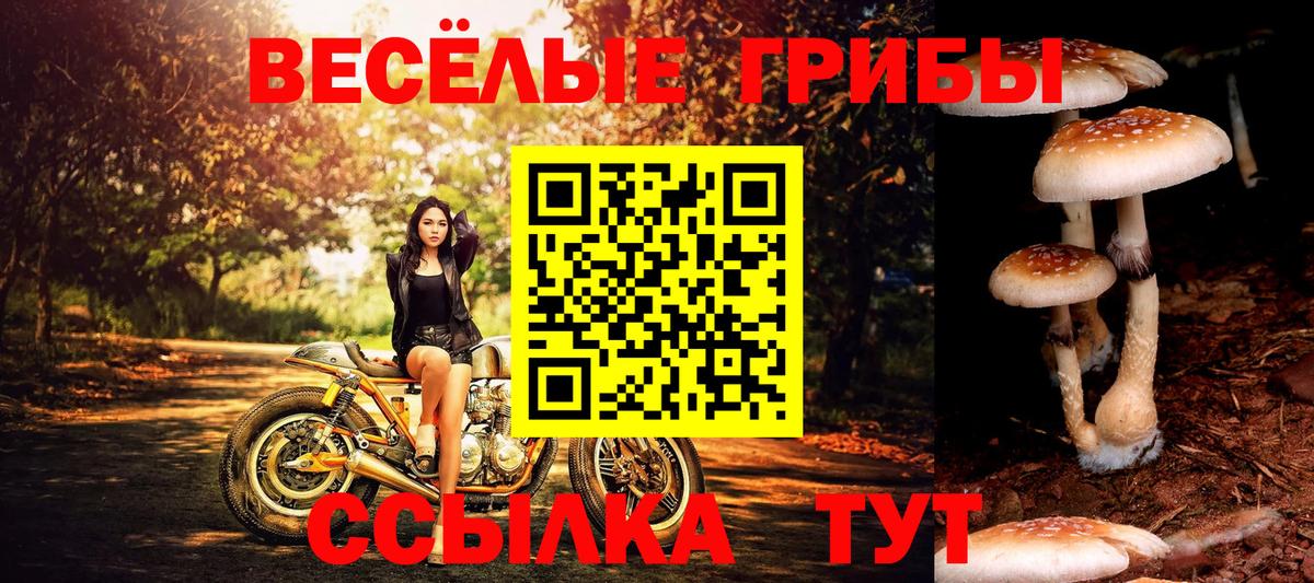 Галлюциногенные грибы Magic Shrooms  Вход с VPN  Семёнов  Галлюциногенные грибы Magic Shrooms 