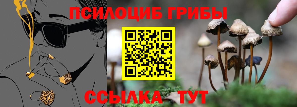 Псилоцибиновые грибы прущие грибы Семёнов